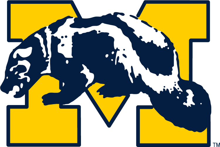 Michigan Wolverines 1964-1978 Primary Logo t shirts DIY iron ons